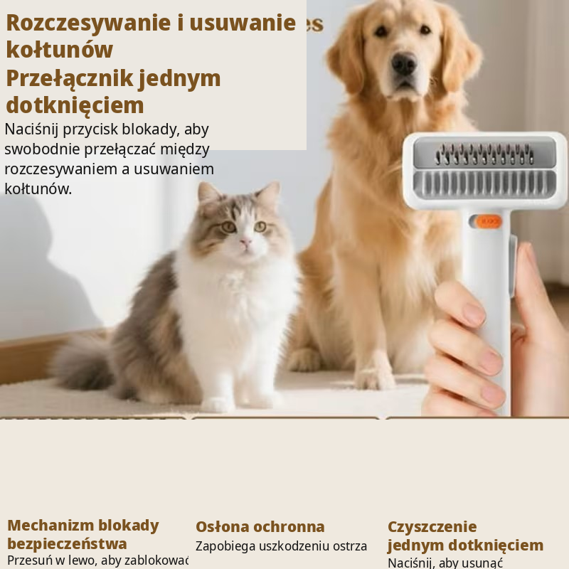 Przetlumaczone Zdjecie 2 Pl 1