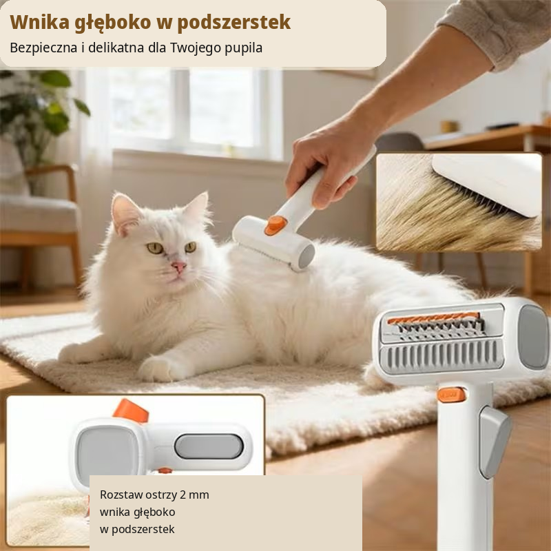 przetlumaczone zdjecie 3 pl 1.png